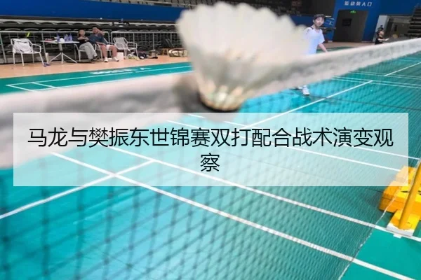 马龙与樊振东世锦赛双打配合战术演变观察